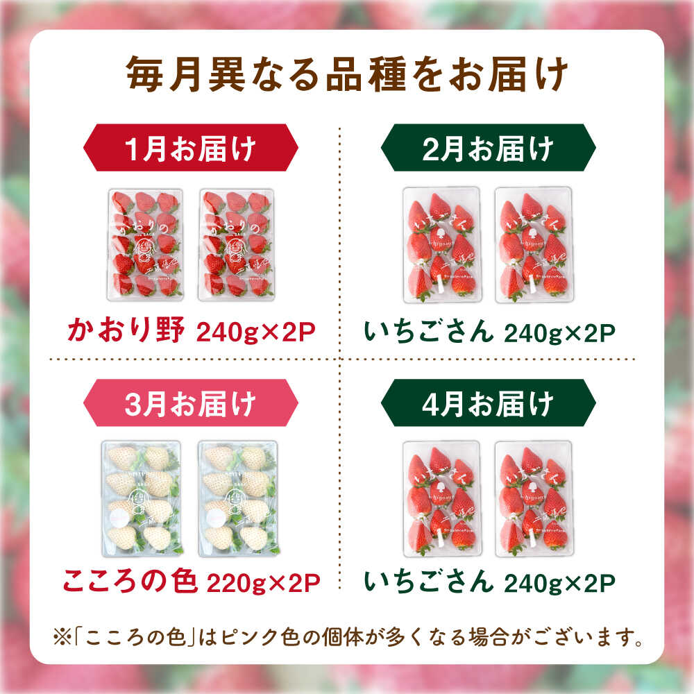 【ふるさと納税】【R8年1月以降発送】【全4回定期便】3種の食べ比べ定期便（3） 【StrawberryFarm-K】[IBJ032] サムネイル2