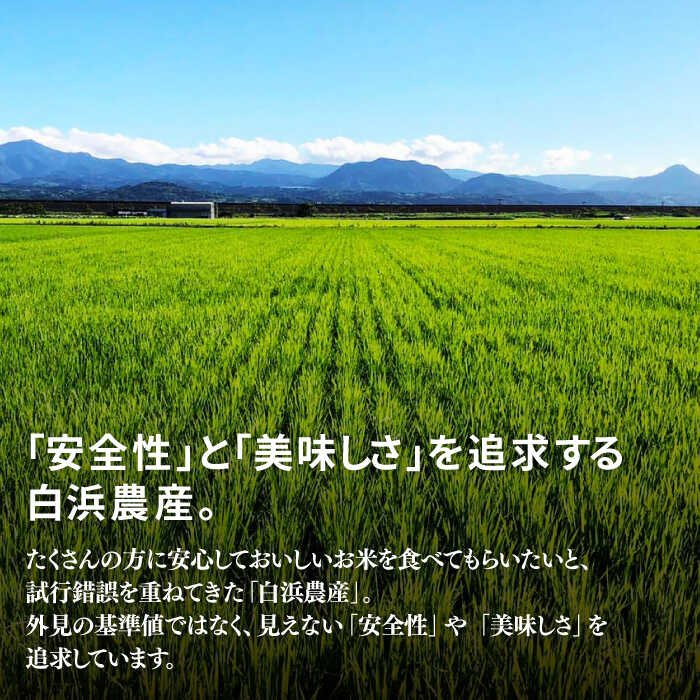 【ふるさと納税】【令和7年産】【九州米・食味コンクール3年連続入賞！】こだわりの さがびより 10kg（白米）【白浜農産】米 お米 ブランド米 農家直送 特別栽培 特別栽培米 特A評価 特A 令和7年 おすすめ 人気 佐賀県 白石町 白石 [IBL001] - 画像2
