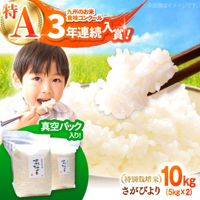 【令和7年産】【九州米・食味コンクール3年連続入賞！】こだわりの さがびより 10kg（白米）【白浜農産】米 お米 ブランド米 農家直送 特別栽培 特別栽培米 特A評価 特A 令和7年 おすすめ 人気 佐賀県 白石町 白石 [IBL001]