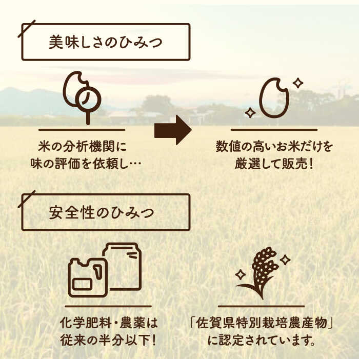 【ふるさと納税】【令和7年産】【九州米・食味コンクール3年連続入賞！】こだわりの さがびより 20kg（白米）【白浜農産】米 お米 ブランド米 農家直送 特別栽培 特別栽培米 特A評価 特A 令和7年 おすすめ 人気 佐賀県 白石町 白石 [IBL002] - 画像3