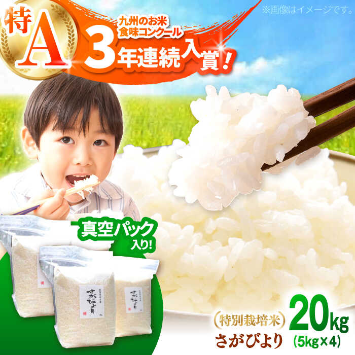 【令和7年産】【九州米・食味コンクール3年連続入賞！】こだわりの さがびより 20kg（白米）【白浜農産】米 お米 ブランド米 農家直送 特別栽培 特別栽培米 特A評価 特A 令和7年 おすすめ 人気 佐賀県 白石町 白石 [IBL002]