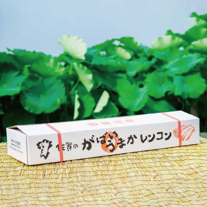 【ふるさと納税】【年内配送】 産地直送！白石れんこん（泥付き）4kg【有限会社白石開発】 蓮根 レンコン 野菜 新鮮 佐賀県 白石町 [IBN002] サムネイル2