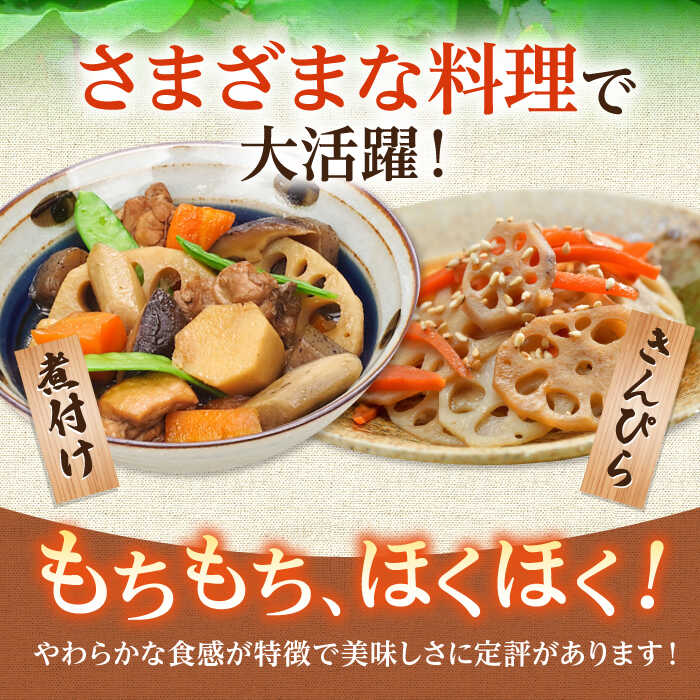 【ふるさと納税】【2026年1月以降発送】【お手軽調理！】 水煮れんこん 120g×10袋（カット有り/真空パック）【有限会社白石開発】 蓮根 レンコン 野菜 根菜 小分け 真空 保存 佐賀県 白石町 白石 [IBN004] - 画像3