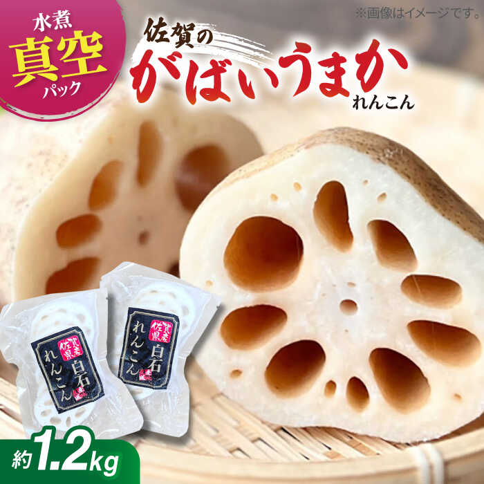 【2026年1月以降発送】【お手軽調理！】 水煮れんこん 120g×10袋（カット有り/真空パック）【有限会社白石開発】 蓮根 レンコン 野菜 根菜 小分け 真空 保存 佐賀県 白石町 白石 [IBN004]