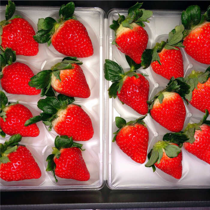 【ふるさと納税】 【先行予約】 【農家直送】 【全4回】 特別栽培 いちご 2品種 食べ比べ（さがほのか＆いちごさん）【井崎農園】 赤いちご イチゴ 苺 フルーツ 果物 食べ比べ [IBP002] サムネイル2