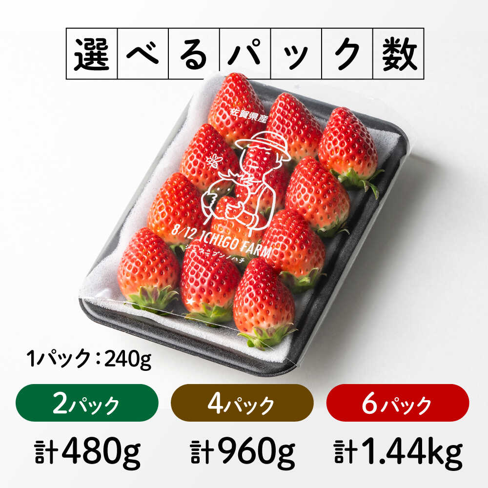【ふるさと納税】【R8年2月以降発送】いちごさん 〈選べる容量〉 2パック or 4パック or 6パック 【8/12ICHIGOFARM】[IBR002] サムネイル2