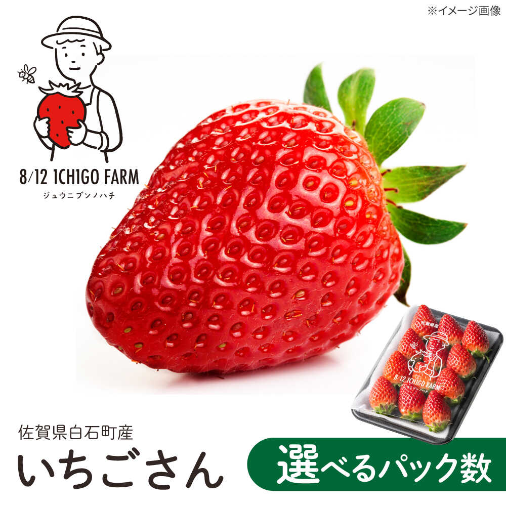 【R8年2月以降発送】いちごさん 〈選べる容量〉 2パック or 4パック or 6パック 【8/12ICHIGOFARM】[IBR002]