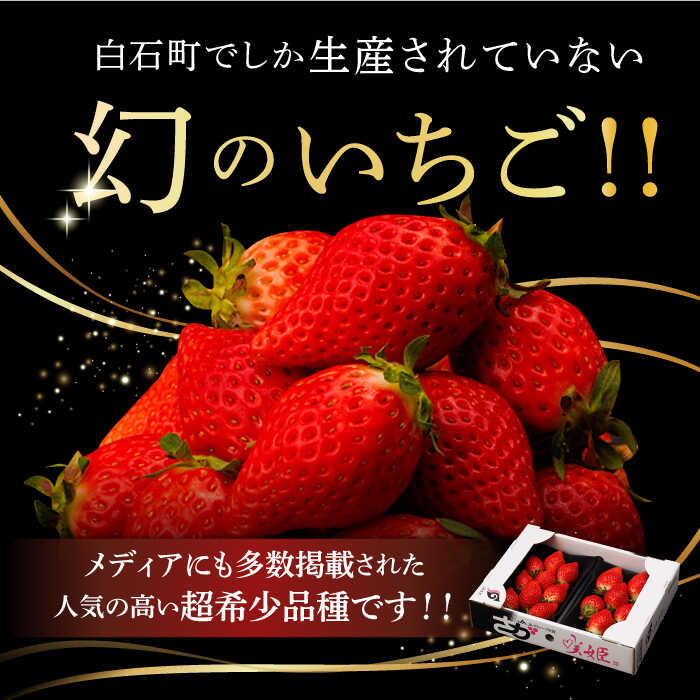 【ふるさと納税】【R8年1月以降発送】【際立つ甘さ！】幻のいちご『咲姫（さきひめ）』2パック（計450g以上）【中村いちご農園】農家直送 超希少 苺 イチゴ 果物 フルーツ 佐賀県 白石町 [ICB001] サムネイル2