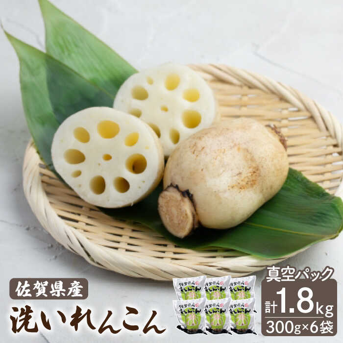 【年内配送】洗い れんこん 真空パック入り 300g×6袋（計1.8kg）【有限会社マルハ園芸】 レンコン 蓮根 根菜 野菜 白石町産 佐賀県産 [ICC003]