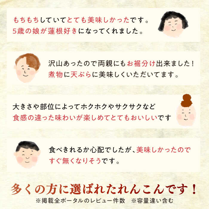 【ふるさと納税】【選べる配送期間】【真空パック】リピーター続々！ 洗いれんこん 約2kg（8-15袋入り）【和泉農園】 農家直送 レンコン 蓮根 れんこん 小分け 佐賀県産 野菜 根菜 白石町産 新鮮 高評価 大人気 真空パック 個包装 佐賀県 白石町 D9W[ICE001] サムネイル3