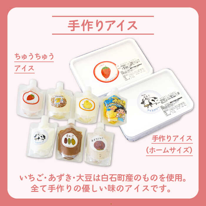 【ふるさと納税】【大容量！おやつにピッタリ♪】手作り アイス 詰め合わせ セット【佐賀西部コロニー白石作業所】 食べ比べ アイスクリーム ホームサイズ チューブ スイーツ 佐賀県 白石 [ICL003] - 画像2