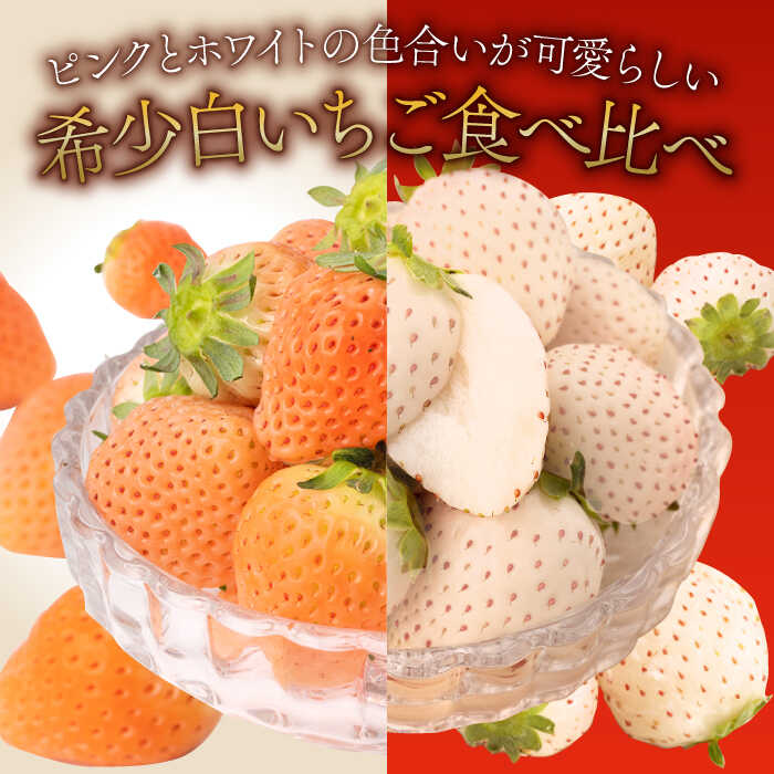 【ふるさと納税】 【先行予約】【産地直送】 白石産 希少 白いちご「淡雪」＆「パールホワイト」食べ比べ セット イチゴ 白イチゴ 苺 果物 フルーツ 佐賀県産【ハヤシダファーム】 [ICQ001] サムネイル2