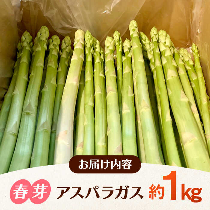 【ふるさと納税】 【2026年4月以降発送】甘くやわらか！こだわり 春芽 アスパラガス 約1kg【ふぁふぁふぁーむ】 アスパラ 朝採り 新鮮 野菜 佐賀県 白石 [ICS001] - 画像3