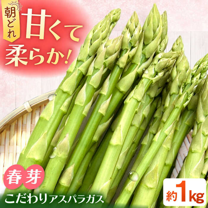【2026年4月以降発送】甘くやわらか！こだわり 春芽 アスパラガス 約1kg【ふぁふぁふぁーむ】 アスパラ 朝採り 新鮮 野菜 佐賀県 白石 [ICS001]