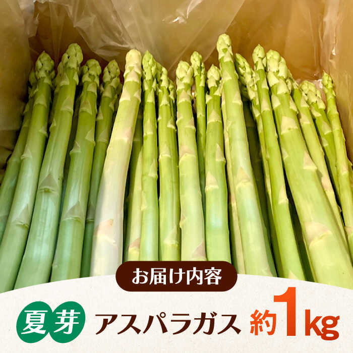 【ふるさと納税】【2026年6月以降発送】 甘くやわらか！こだわり 夏芽 アスパラガス 約1kg【ふぁふぁふぁーむ】 アスパラ 朝採り 新鮮 野菜 佐賀県 白石町 アスパラガス 白石 [ICS002] - 画像3