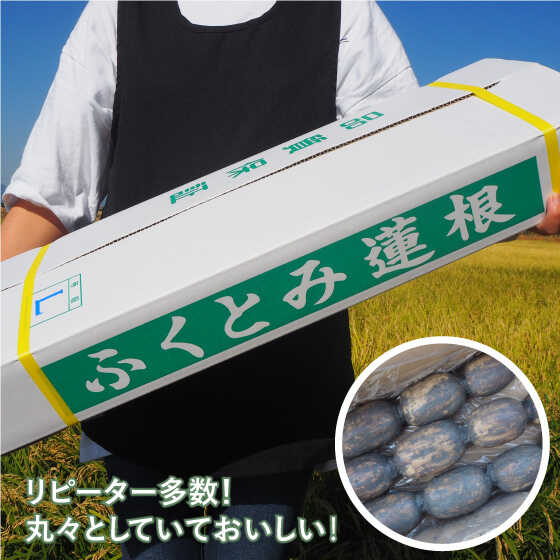 【ふるさと納税】【2026年1月以降発送】【祖母は103歳 健康長寿の源！】 白石 れんこん 3kg【やまぐちれんこん店】 蓮根 レンコン 根菜 野菜 佐賀県産 白石 [ICT001] - 画像2