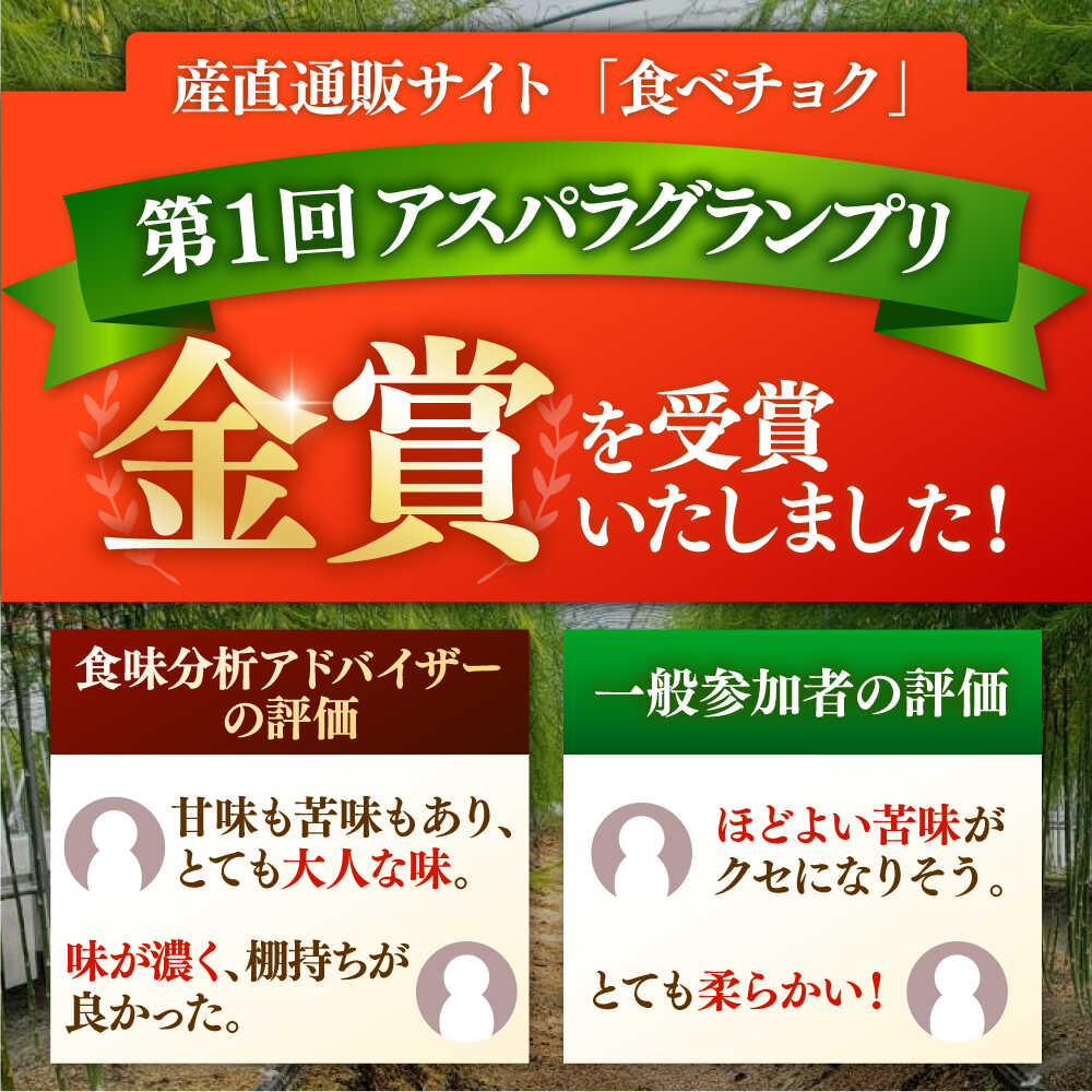 【ふるさと納税】こだわり 春芽 アスパラガス 約1kg【ひがじま農園】 アスパラ 野菜 農家直送 佐賀県 白石 [ICW001] - 画像2