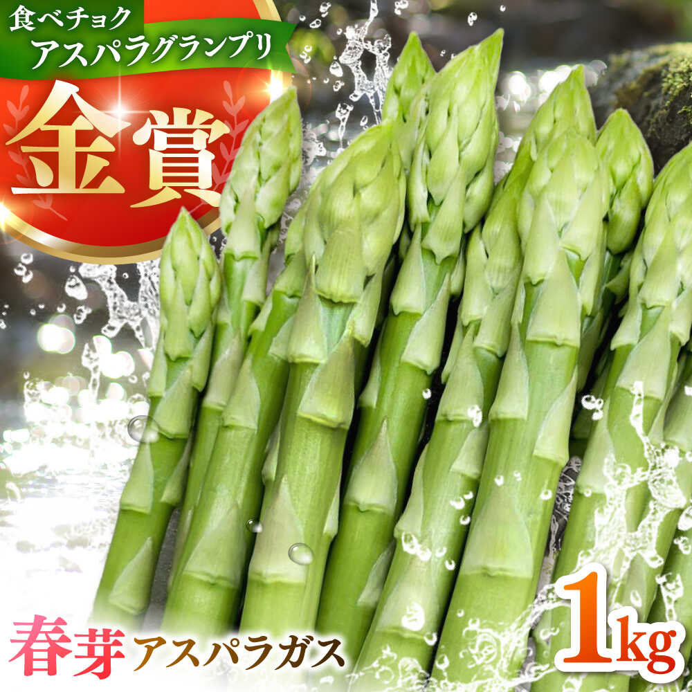 こだわり 春芽 アスパラガス 約1kg【ひがじま農園】 アスパラ 野菜 農家直送 佐賀県 白石 [ICW001]