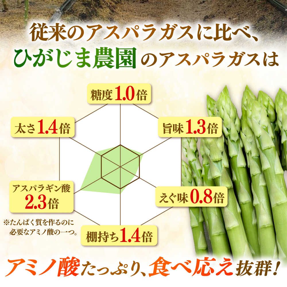 【ふるさと納税】【先行予約】 身体にやさしい こだわり 夏芽 アスパラガス 約1kg【ひがじま農園】 野菜 アスパラガス グリーンアスパラ 旬 とれたて お取り寄せ 産地直送 小分け 保存 送料無料 佐賀県 白石 [ICW003] - 画像3