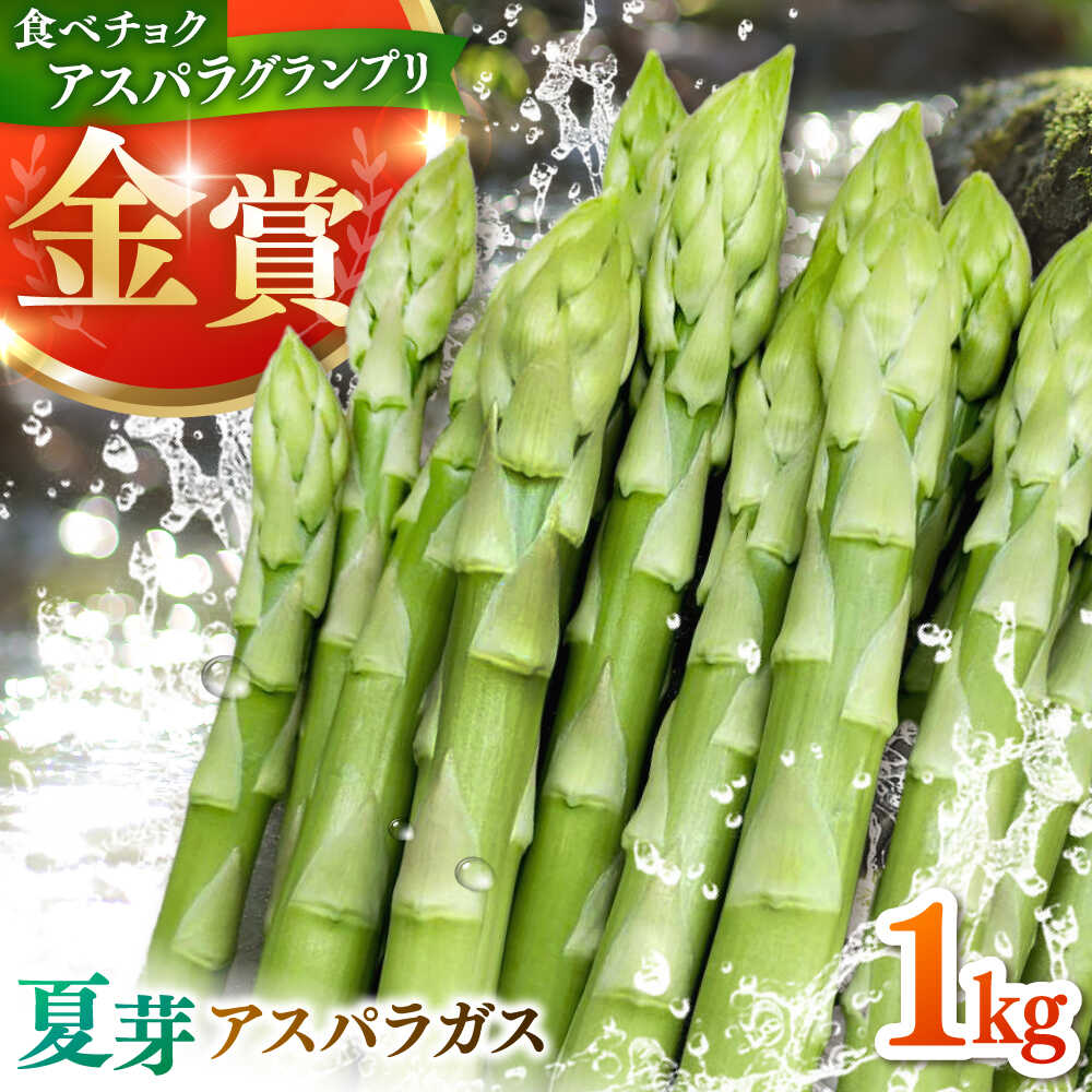 【先行予約】 身体にやさしい こだわり 夏芽 アスパラガス 約1kg【ひがじま農園】 野菜 アスパラガス グリーンアスパラ 旬 とれたて お取り寄せ 産地直送 小分け 保存 送料無料 佐賀県 白石 [ICW003]