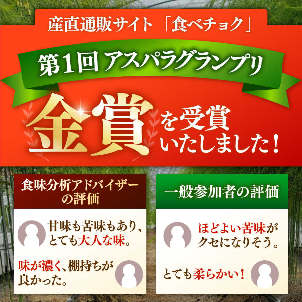 【ふるさと納税】 身体にやさしい こだわり 春芽アスパラガス 約500g【ひがじま農園】 佐賀県 白石 [ICW005] - 画像2