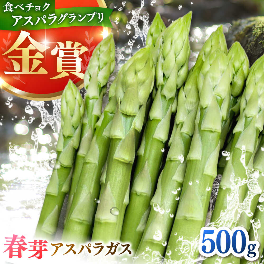 身体にやさしい こだわり 春芽アスパラガス 約500g【ひがじま農園】 佐賀県 白石 [ICW005]