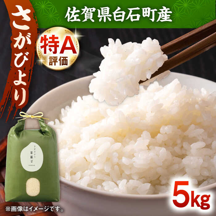 【令和7年産】 さがびより 5kg【ちわたのふぁーむ】 米 5kg 精米 特A 特A評価 佐賀県産 国産米 コメ こめ お米 白米 ブランド米 さがびより 九州 佐賀県 白石町 人気 おすすめ 白石 令和8年発送[IDE001]