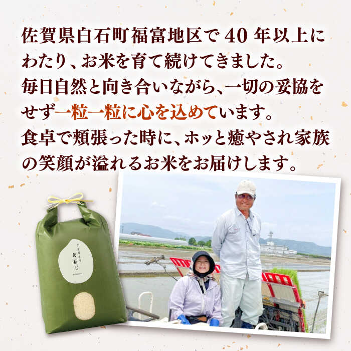 【ふるさと納税】【令和7年産】 さがびより 計10kg（5kg×2袋）【ちわたのふぁーむ】 米 10kg 精米 特A 特A評価 佐賀県産 国産米 コメ こめ お米 白米 ブランド米 さがびより 九州 白石町 人気 おすすめ 白石 令和8年発送[IDE002] - 画像2