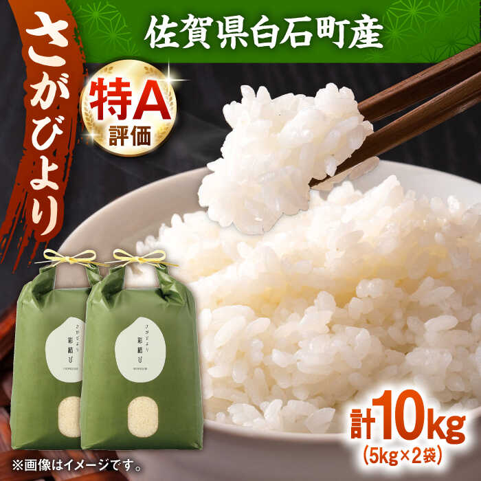 【令和7年産】 さがびより 計10kg（5kg×2袋）【ちわたのふぁーむ】 米 10kg 精米 特A 特A評価 佐賀県産 国産米 コメ こめ お米 白米 ブランド米 さがびより 九州 白石町 人気 おすすめ 白石 令和8年発送[IDE002]