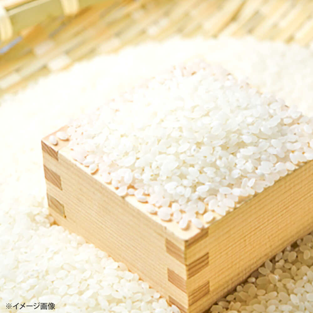 【ふるさと納税】【令和7年産】ひのひかり 10kg【勝農園】 米 10kg 精米 佐賀県産 国産米 コメ こめ お米 白米 ブランド米 精白米 おにぎり ひのひかり 九州 佐賀県 白石町 人気 おすすめ 白石 令和8年発送[IDK001] - 画像3