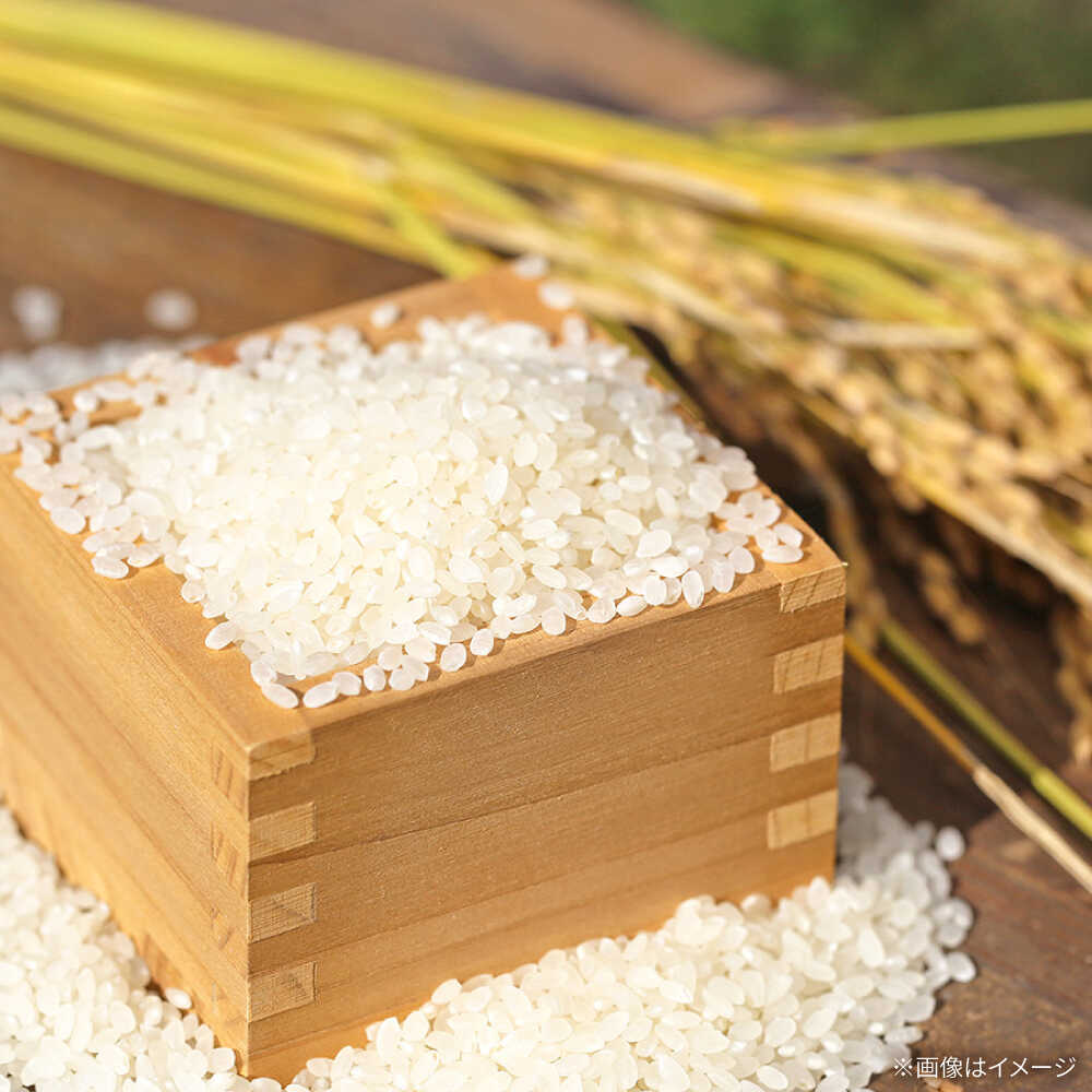 【ふるさと納税】【令和7年産】ひのひかり（白米）10kg（5kg×2袋）【farmY.style】 米 10kg 精米 佐賀県産 国産米 コメ こめ お米 白米 ブランド米 精白米 おにぎり ひのひかり 九州 佐賀県 白石町 人気 おすすめ 白石 令和8年発送[IDL007] - 画像2