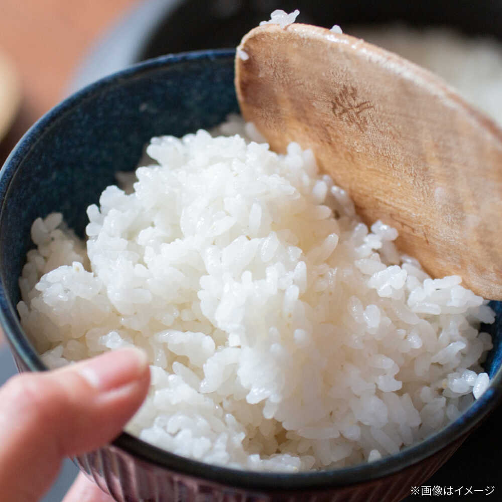 【ふるさと納税】【令和7年産】ひのひかり（白米）10kg（5kg×2袋）【farmY.style】 米 10kg 精米 佐賀県産 国産米 コメ こめ お米 白米 ブランド米 精白米 おにぎり ひのひかり 九州 佐賀県 白石町 人気 おすすめ 白石 令和8年発送[IDL007] - 画像3