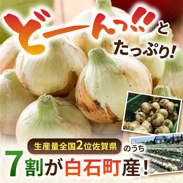 【ふるさと納税】【先行予約】【選べる容量】白石産 たまねぎ （ 約10kg / 約20kg ）【佐賀県農業協同組合】柔らかく 甘い 野菜 タマネギ 玉葱 玉ねぎ オニオン タマネギ 大容量 たまねぎ 甘み 佐賀県 白石町 白石 [IAK011] - 画像2