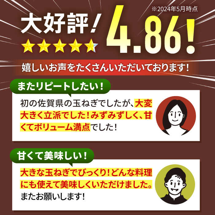 【ふるさと納税】【先行予約】【選べる容量】白石産 たまねぎ （ 約10kg / 約20kg ）【佐賀県農業協同組合】柔らかく 甘い 野菜 タマネギ 玉葱 玉ねぎ オニオン タマネギ 大容量 たまねぎ 甘み 佐賀県 白石町 白石 [IAK011] - 画像3
