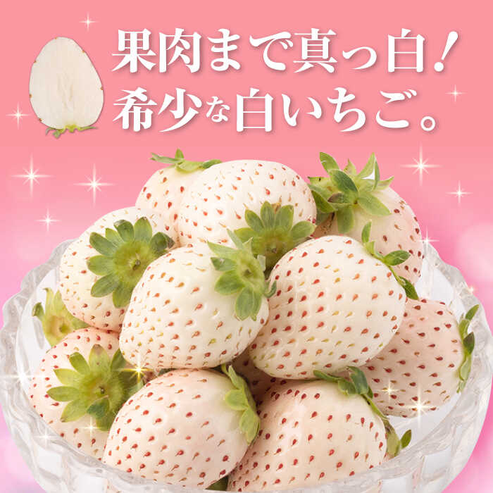 【ふるさと納税】【先行予約】上品な甘さ！希少な白いちご「パールホワイト」220g×2パック /イチゴ 白イチゴ 苺 果物 フルーツ 佐賀県産 佐賀県 白石町 [IZZ003] サムネイル2