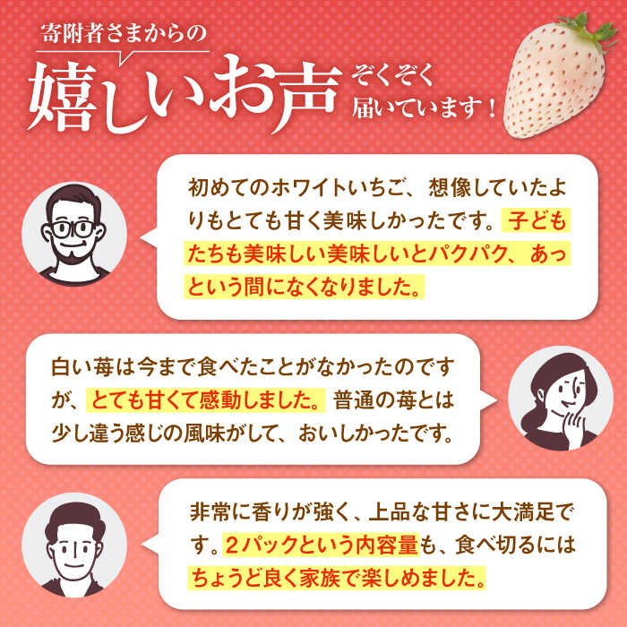 【ふるさと納税】【先行予約】上品な甘さ！希少な白いちご「パールホワイト」220g×2パック /イチゴ 白イチゴ 苺 果物 フルーツ 佐賀県産 佐賀県 白石町 [IZZ003] サムネイル3