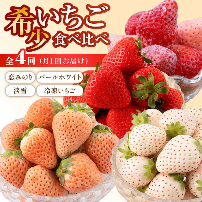 【先行予約】【4回定期便】希少いちご 食べ比べ定期（恋みのり・パールホワイト・淡雪・冷凍いちご）/ 農家直送 希少 苺 いちご イチゴ 白イチゴ 赤イチゴ 果物 フルーツ 佐賀県産 佐賀県 白石町 [IZZ005]