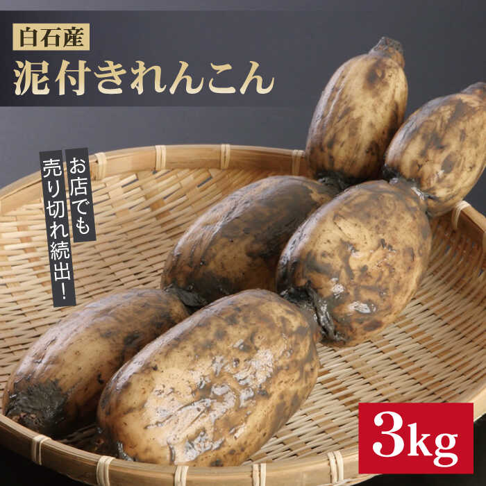 【年内配送】レンコンの名産地！白石町産 泥付き れんこん（3kg） / レンコン 蓮根 佐賀県産 野菜 根菜 高品質 佐賀県 白石町 [IZZ011]