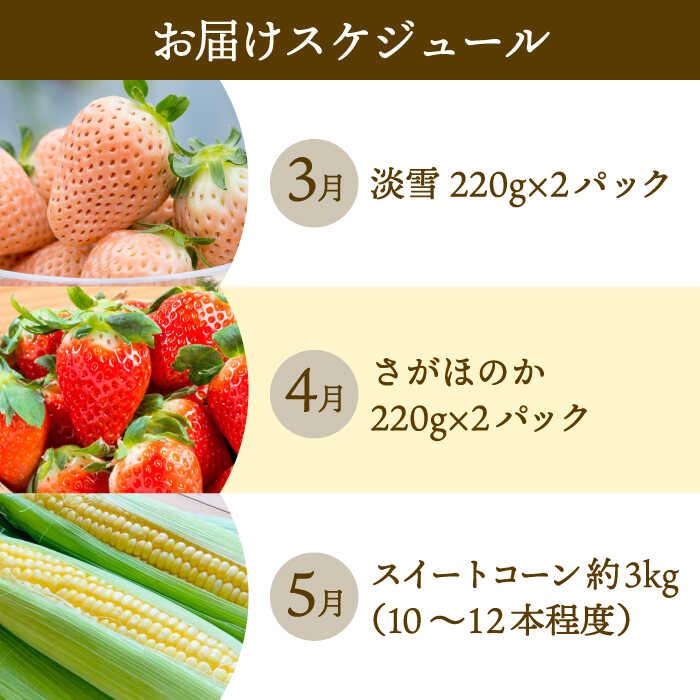【ふるさと納税】【先行予約】【3回定期便】紅白いちご（淡雪・さがほのか）とスイートコーンの定期便 / 苺 イチゴ 果物 フルーツ 野菜 とうもろこし 佐賀県 白石町 [IZZ016] サムネイル3