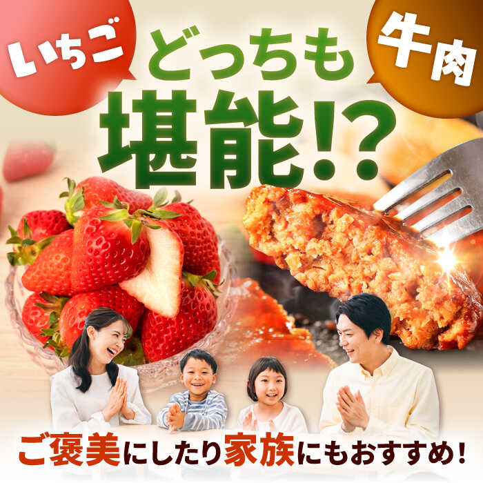 【ふるさと納税】【R8年3月以降発送】【全4回定期便】産地直送！白石町産 いちごと牛肉の定期便 / イチゴ 苺 果物 フルーツ お肉 肉 ハンバーグ 切り落とし 佐賀県 白石町 [IZZ019] サムネイル2