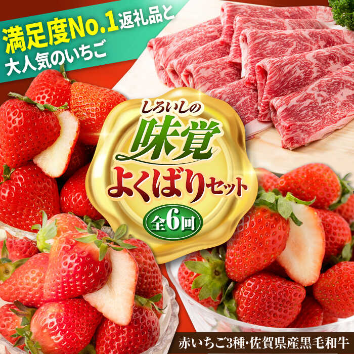 【R8年2月以降発送】【全6回定期便】しろいしの味覚よくばりセット（赤いちご3種と佐賀県産黒毛和牛）/ いちご 苺 果物 フルーツ 黒毛和牛 切り落とし 牛 牛肉 すきやき すき焼き しゃぶしゃぶ 佐賀県 白石町 [IZZ021]