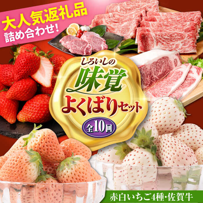 【R8年1月以降発送】【全10回定期便】しろいしの味覚よくばりセット（赤白いちご4種と佐賀牛）/ いちご苺 果物 フルーツ 黒毛和牛 A4 A5 ブランド牛 佐賀県 白石町 [IZZ029]