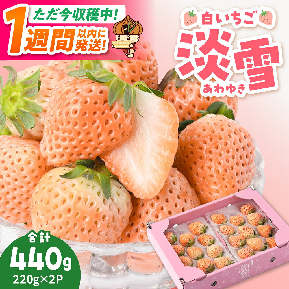 【スピード発送】【農家直送】ほんのりピンク白いちご希少な「淡雪」220g×2パック【岸川農園】イチゴ 白イチゴ 苺 果物 フルーツ 佐賀県 白石町 白石 [IAP005]