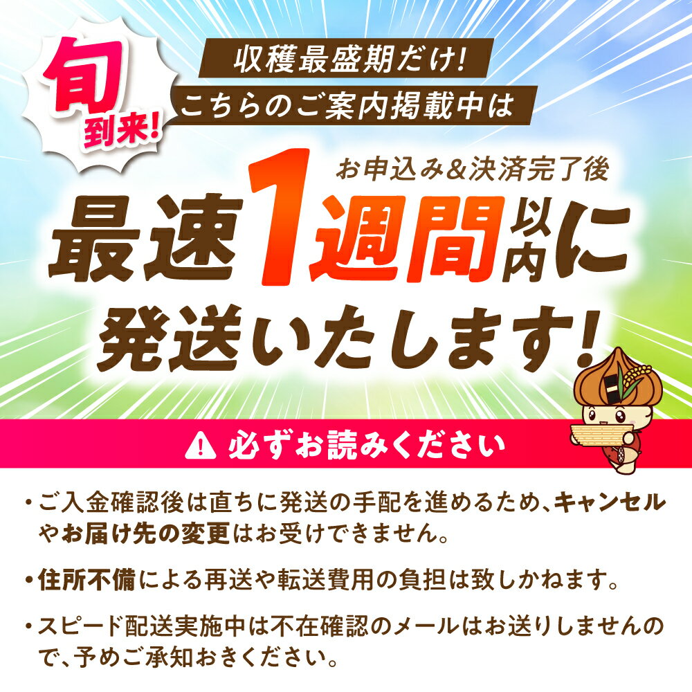 【ふるさと納税】【スピード発送】【農家直送】ほんのりピンク白いちご希少な「淡雪」220g×2パック【岸川農園】イチゴ 白イチゴ 苺 果物 フルーツ 佐賀県 白石町 白石 [IAP005] - 画像2
