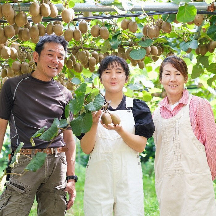 【ふるさと納税】N-215 体が喜ぶ☆キウイフルーツ 食べ比べセット 各10～16個 (重量：1.7kg～2kg) ヘイワード 緑色 東京ゴールド 黄色 2種 食べ比べ セット 小分け袋(スタンドパック) 6袋付き キウイ 果実 フルーツ 人気 おすすめ 佐賀県 太良町 サムネイル3