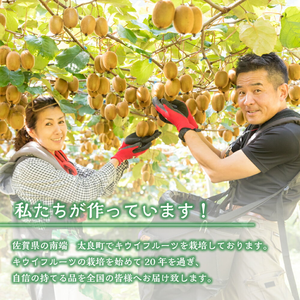 【ふるさと納税】体が喜ぶ☆キウイフルーツ 1.7kg〜2.0kg 10〜16個 甘い キウイ フルーツ 果物 栄養 浦田農園 佐賀県 太良町 LB12 サムネイル3
