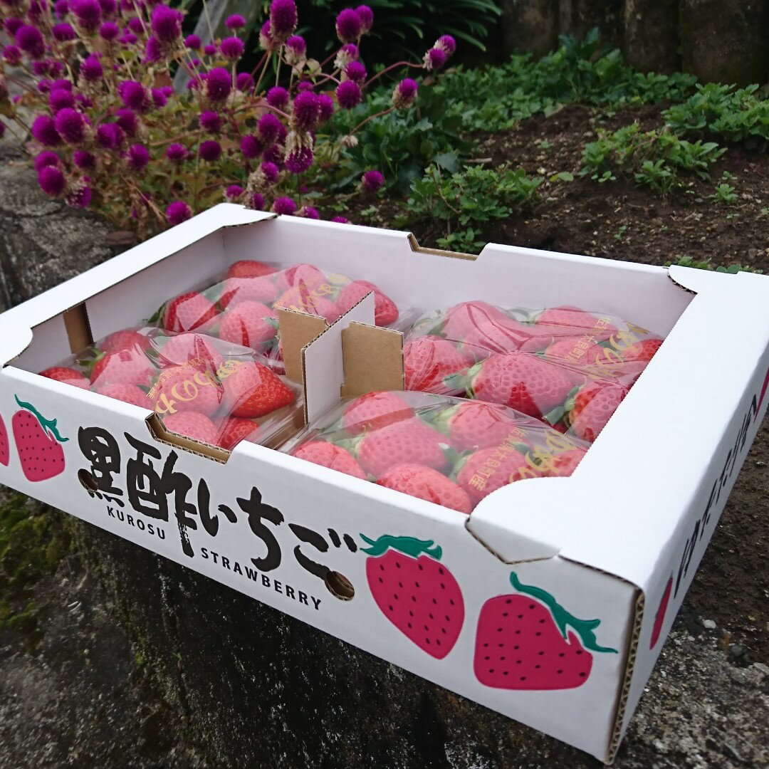 【ふるさと納税】NB-22 黒酢いちご(ゆめのか)　レギュラーパック　260g×4パック サムネイル2