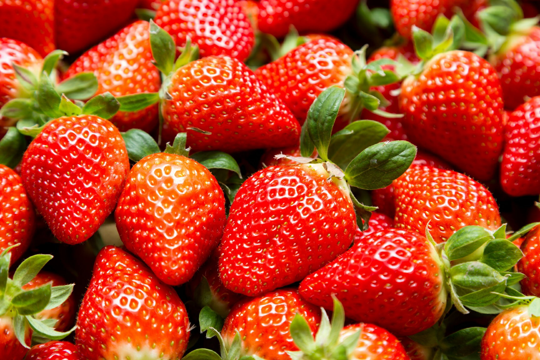 【ふるさと納税】NB-22 黒酢いちご(ゆめのか)　レギュラーパック　260g×4パック サムネイル3