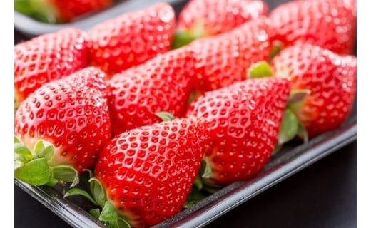 【ふるさと納税】N-243 鍬本農園の黒酢いちご(ゆめのか)　平パック　260g×2パック サムネイル3