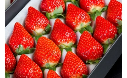 【ふるさと納税】N-238 黒酢いちご(ゆめのか)　化粧箱　450g×1箱 黒酢いちご 黒酢苺 黒酢イチゴ いちご 苺 イチゴ ストロベリー ゆめのか 化粧箱 450g×1箱 甘い 美味しい おいしい 太良町 佐賀 冷蔵品 サムネイル2